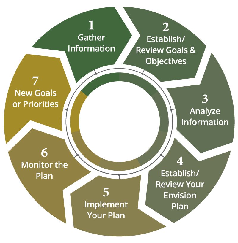 Green Fairways investment process graphic